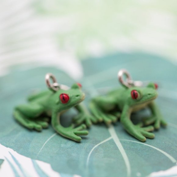 Frog Spirit Animal Earrings - Picture 1 of 3